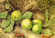 Hill, John William Still Life with Fruit and Fly USA oil painting reproduction